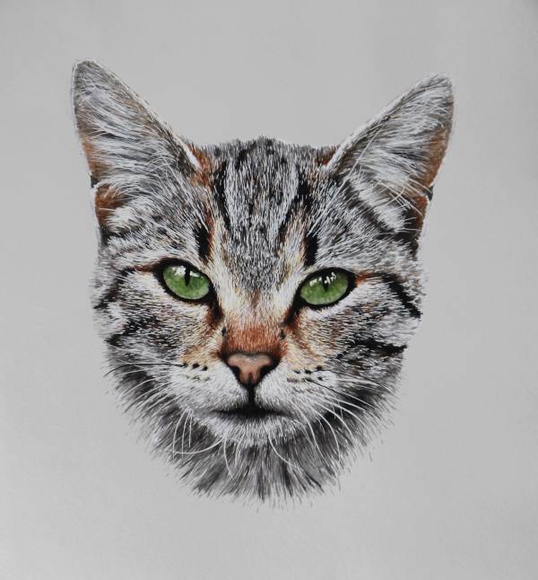 - watercolour on Paper, Painting by Carys Avery Welsh, measuring 28 x 28 cm (H x W) framed at 44 x 44 cm £395